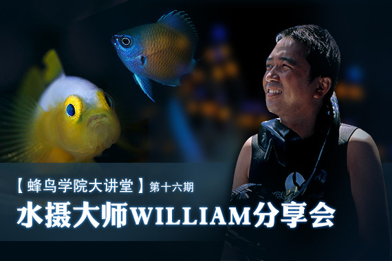 【蜂鸟学院大讲堂】 第十六期  水摄大师  William 分享会